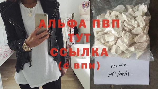 стаф Заводоуковск