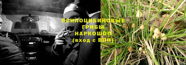 стаф Заводоуковск