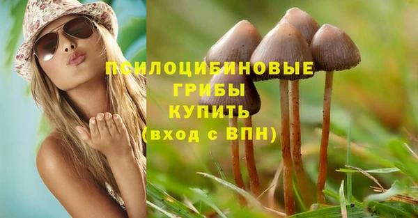 МДМА Заволжск