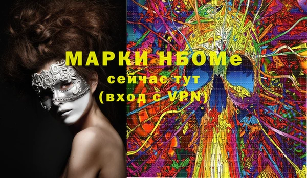 стаф Заводоуковск